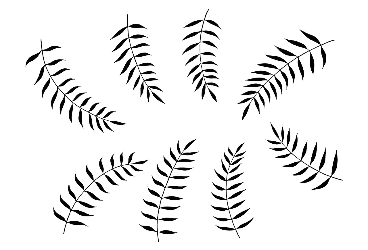 Black fern silhouettes on white